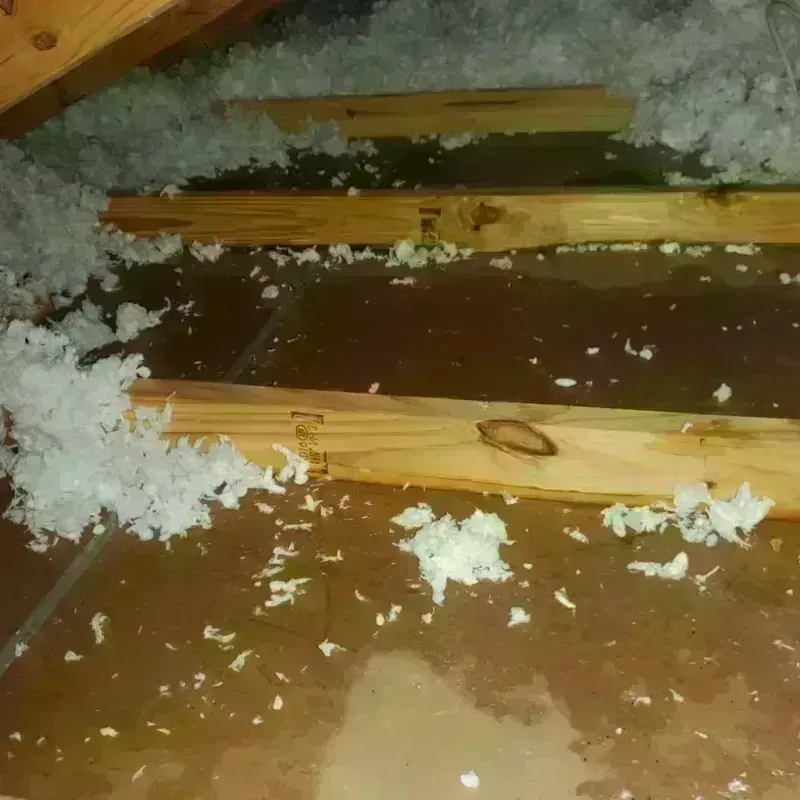 Attic Water Damage in Estherville, IA